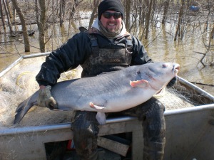 Wabash River Catfish