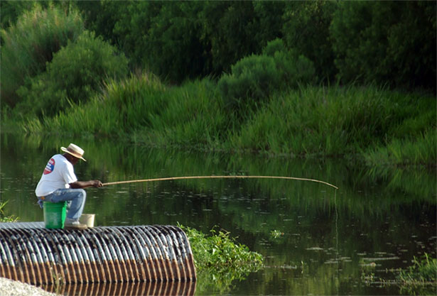 FISHING WITH CANE POLES